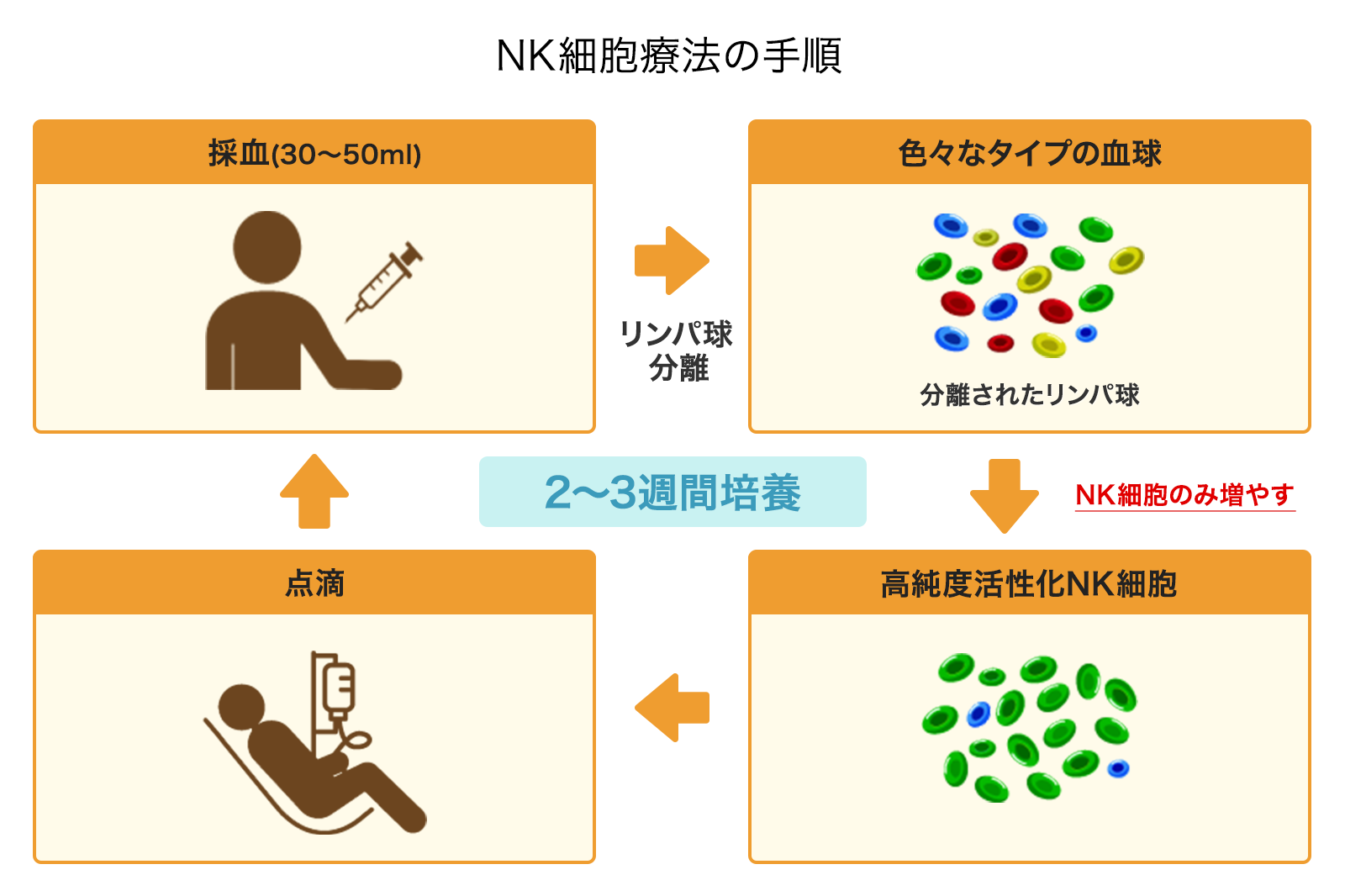 NK細胞療法の手順
