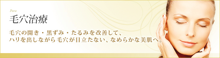 毛穴の施術 銀座の美容整形外科 美容皮膚科ならノエル銀座クリニック 公式