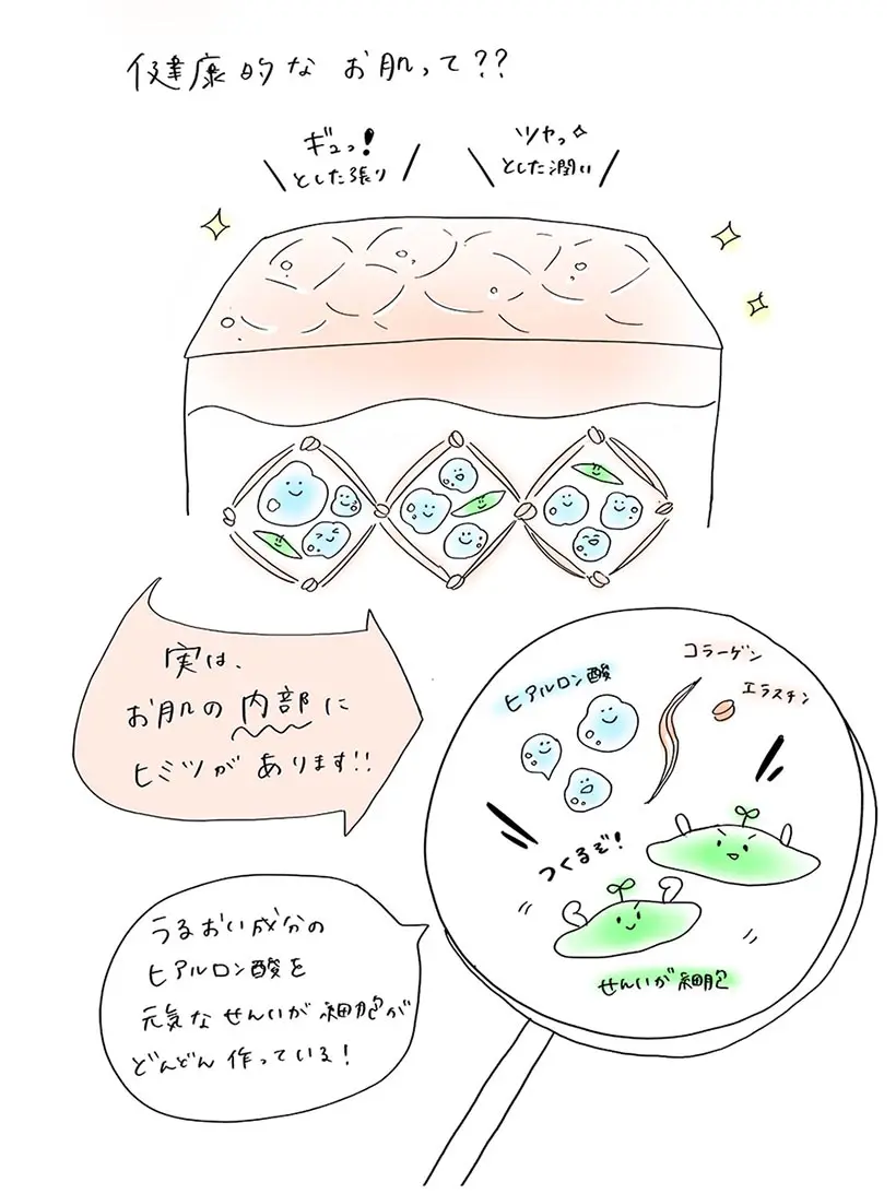 藤井先生のイラスト