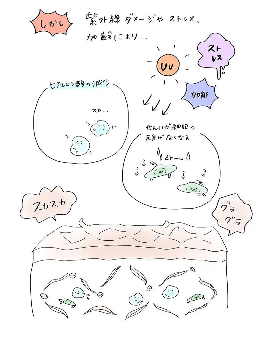 藤井先生のイラスト