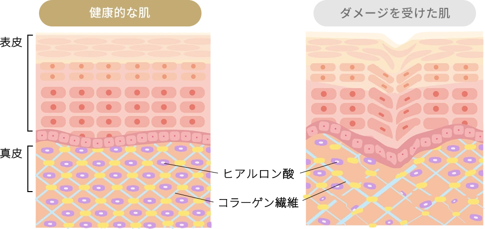 お肌の状態