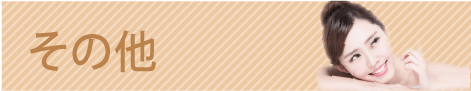 その他