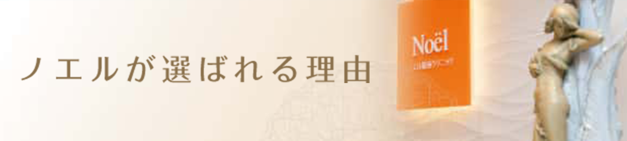 選ばれる理由
