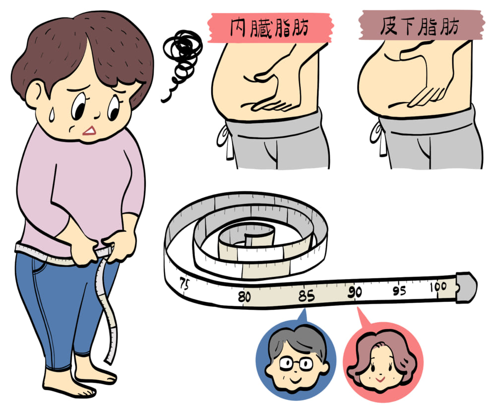 脂肪はなぜ溜まるか