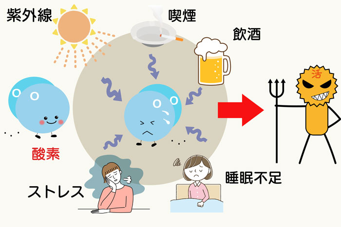 活性酸素についての説明